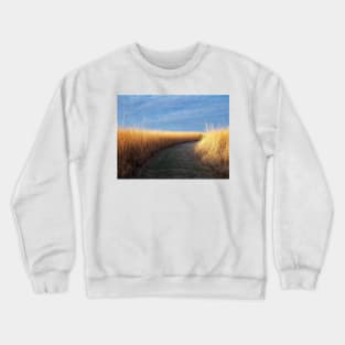 Path of Light Crewneck Sweatshirt